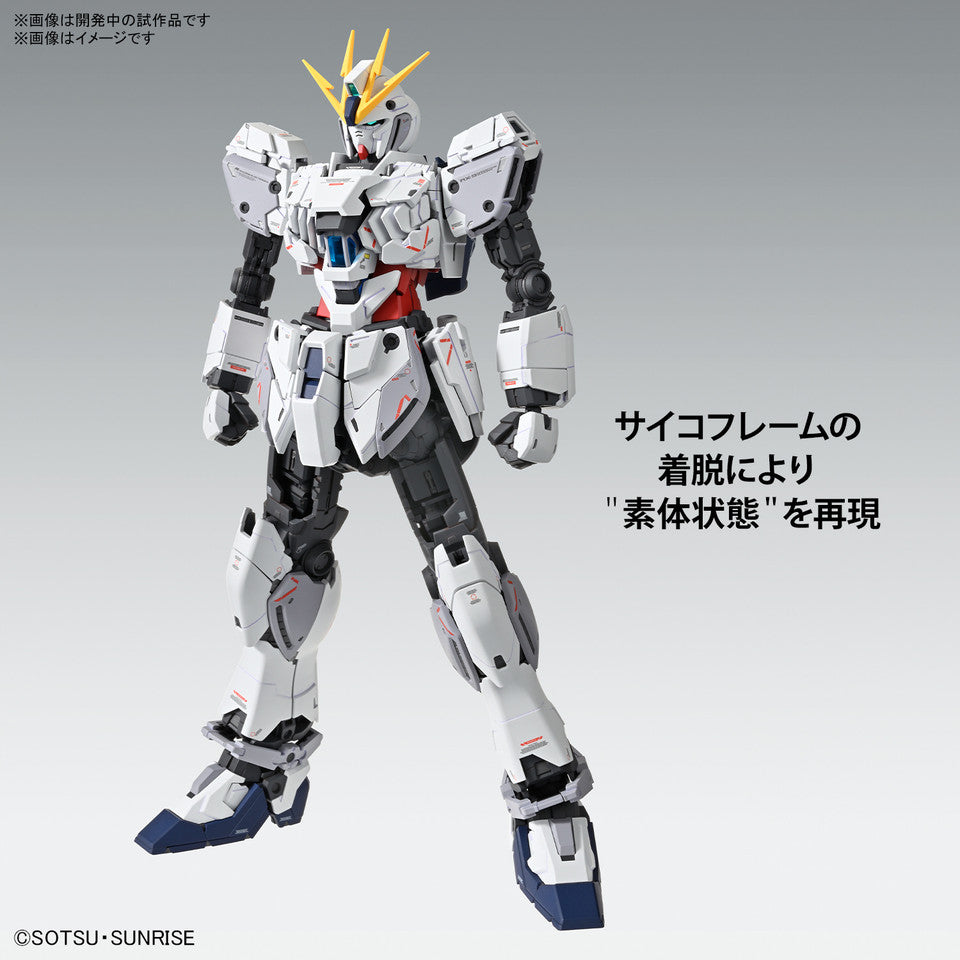 Bandai MG 1/100 NARRATIVE GUNDAM C-PACKS Ver.Ka