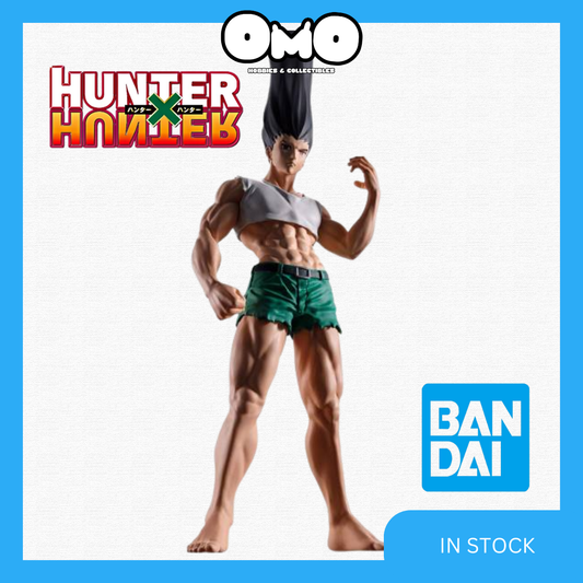 Banpresto Figure Legends Hunter X Hunter Gon