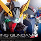 RG 42 GF13-017NJ Shining Gundam